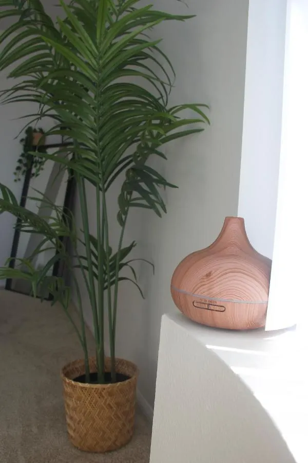 Apartment Homey Appartment In Marina Del Rey Los Angeles United States